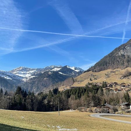 Appt 4 Pers, Pied Des Pistes Apartment Flumet Bagian luar foto